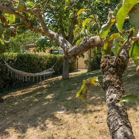 La Piccola Oasi By Great *